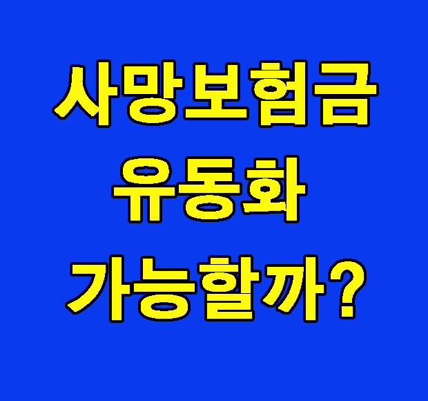 사망보험금 유동화 정책