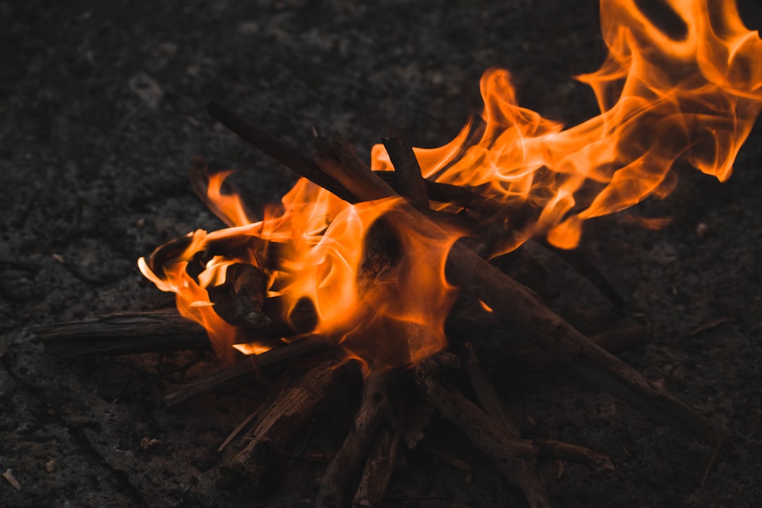 Samsung Fire & Marine Insurance