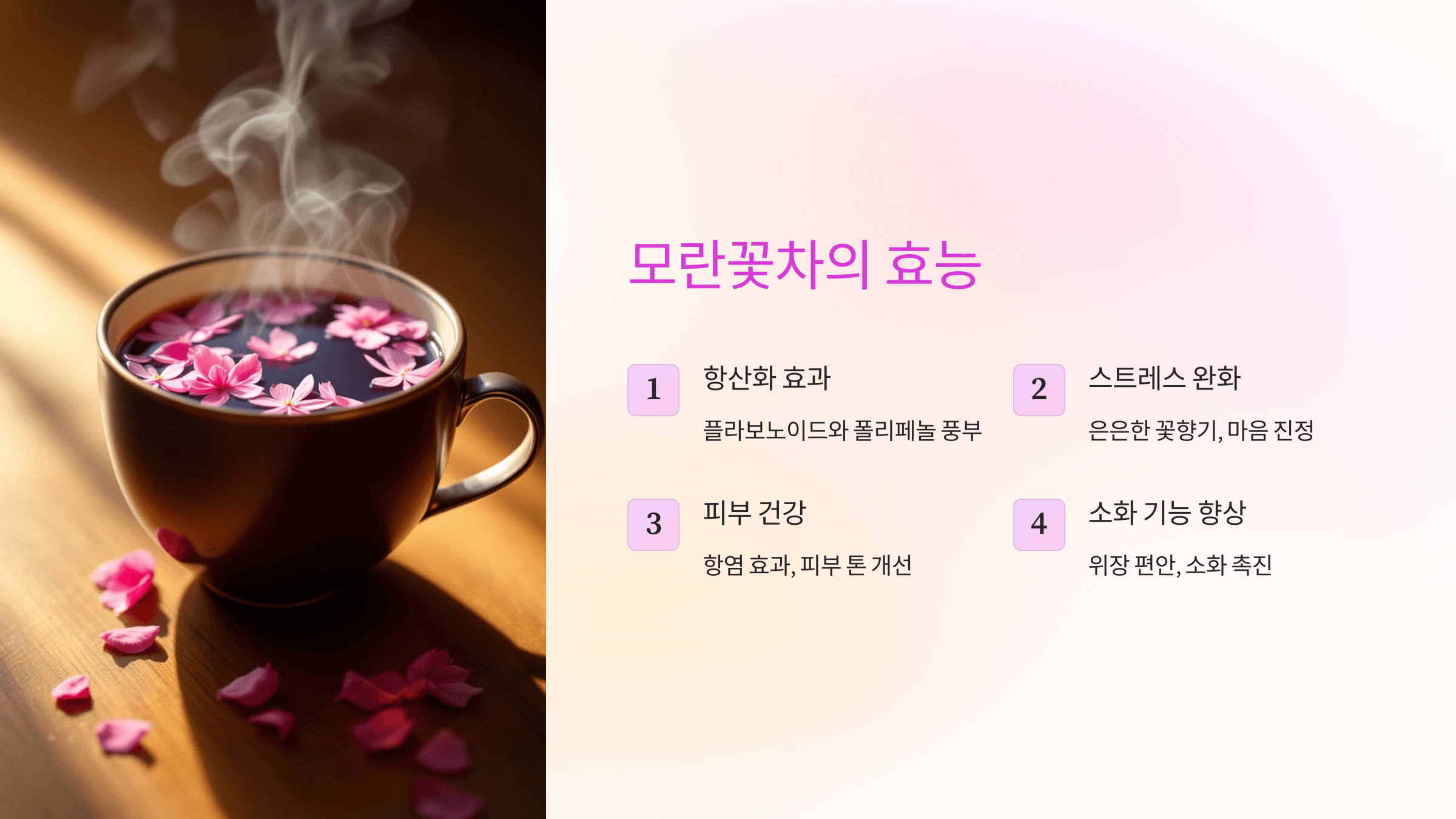 모란꽃 사진입니다.