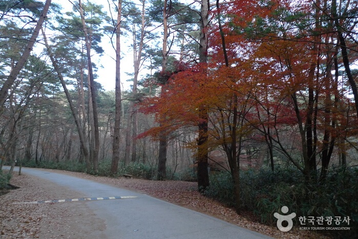 가을 여행지 단풍 추천장소 _ 속리산&amp;#44; 팔공산&amp;#44; 가야산&amp;#44; 지리산&amp;#44; 한라산 국립공원