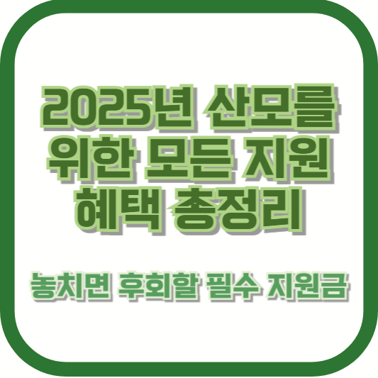 2025년 산모를 위한 모든 지원 혜택 총정리 ❘ 놓치면 후회할 필수 지원금