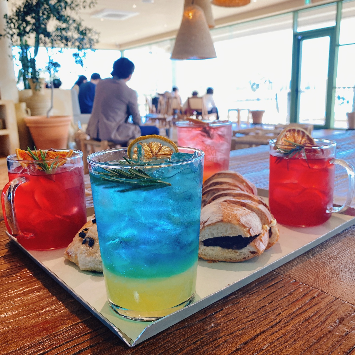 제주 성산 섭지코지 아쿠아플라넷 서귀피안 베이커리 카페