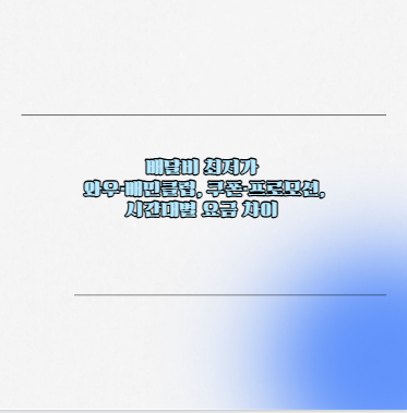 배달비 최저가 와우&middot;배민클럽, 쿠폰&middot;프로모션, 시간대별 요금 차이