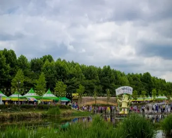 담양 대나무축제_3