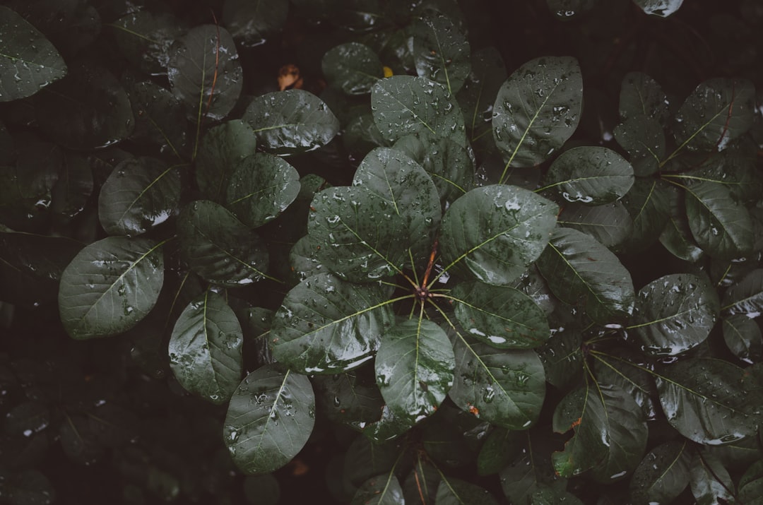 Deficiency