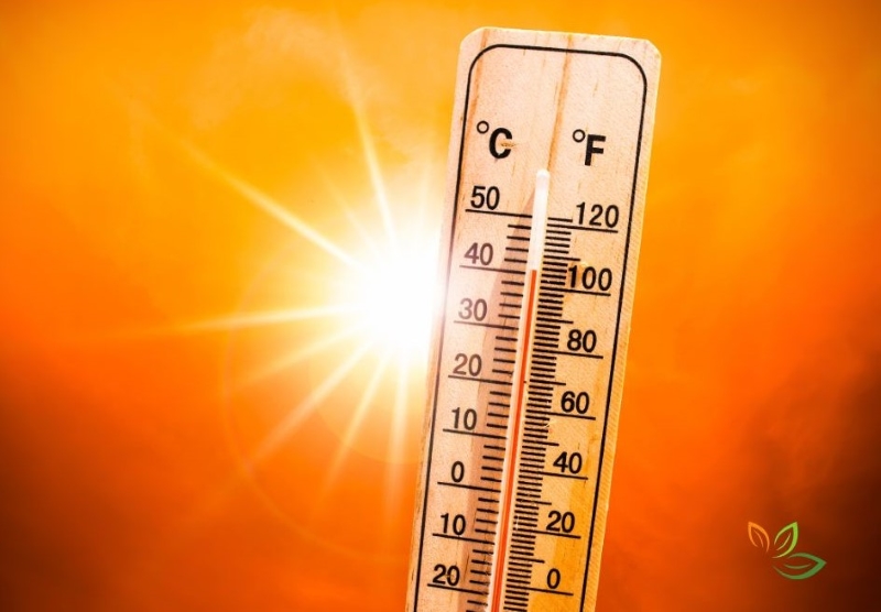 폭염 속 고온을 나타내는 온도계와 강렬한 태양빛 - 온열질환 위험 경고 via canva