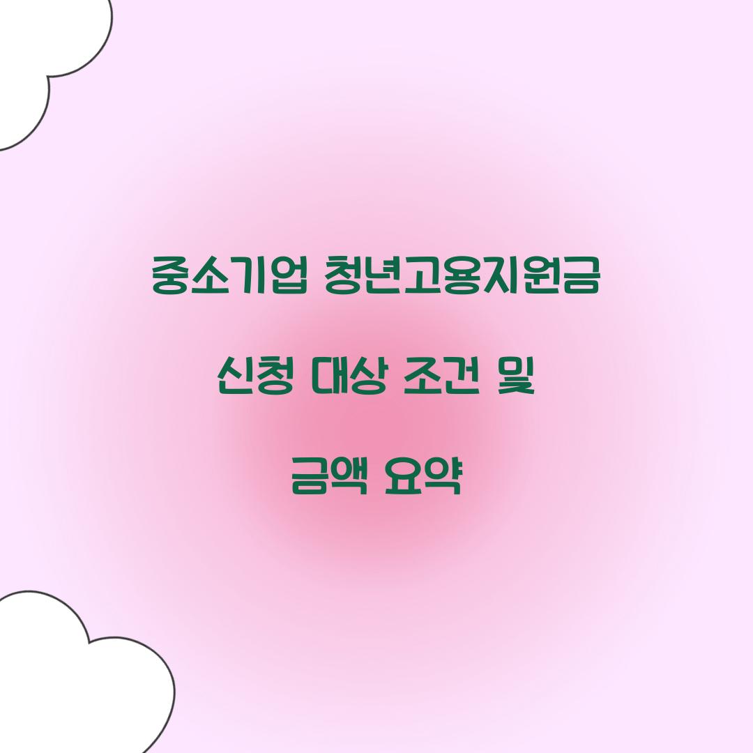중소기업 청년고용지원금