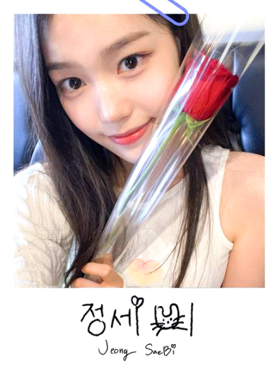 정세비