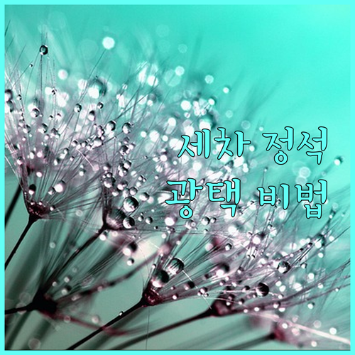 세차의 정석: 스크래치 없이 내 차를