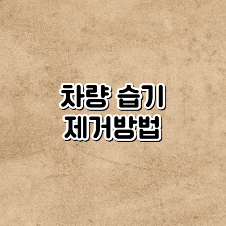 차량 습기제거 방법 (자동차 내부 습기와 앞&#44;옆유리 습기 대처법)