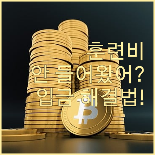 예비군 훈련비 미입금 대처법과 입금 ..