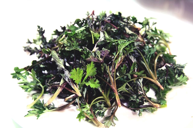 약쑥의 효능 10가지