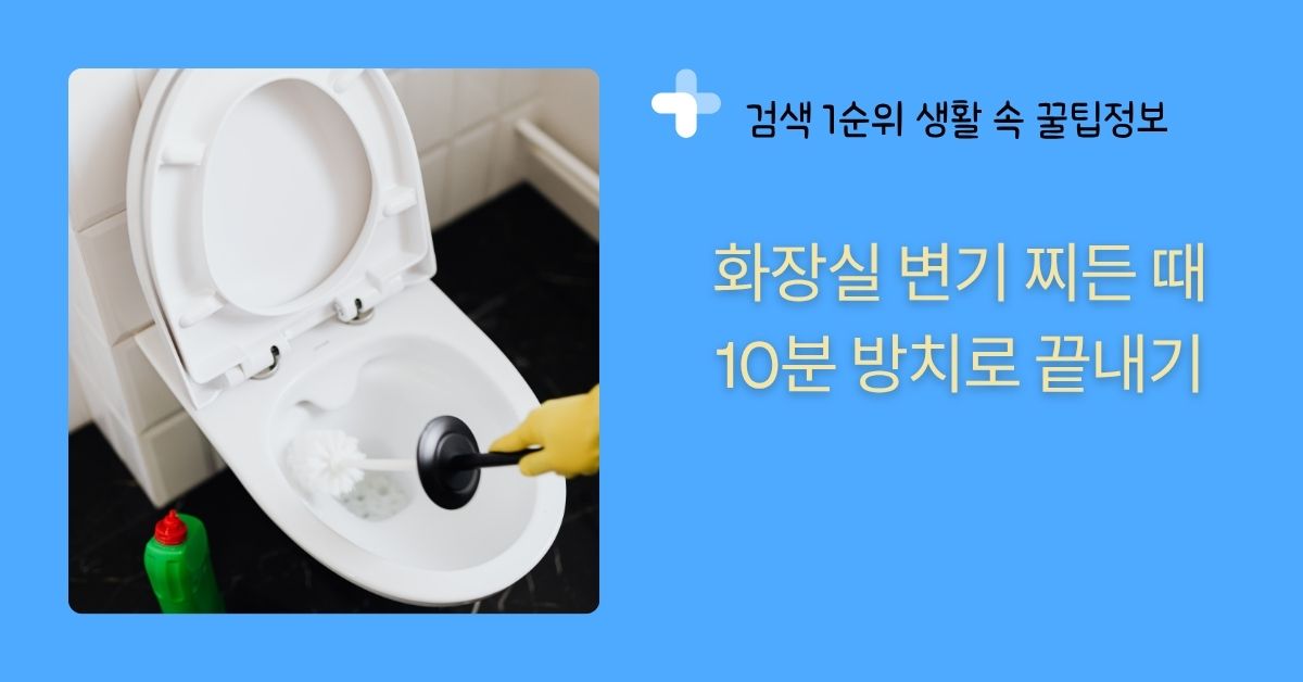화장실-변기-찌든-때-10분-방치로-끝내기
