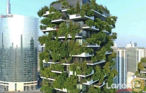 공시지가 이의신청 절차