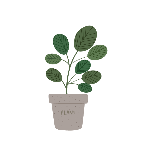 꽃식물일러스트