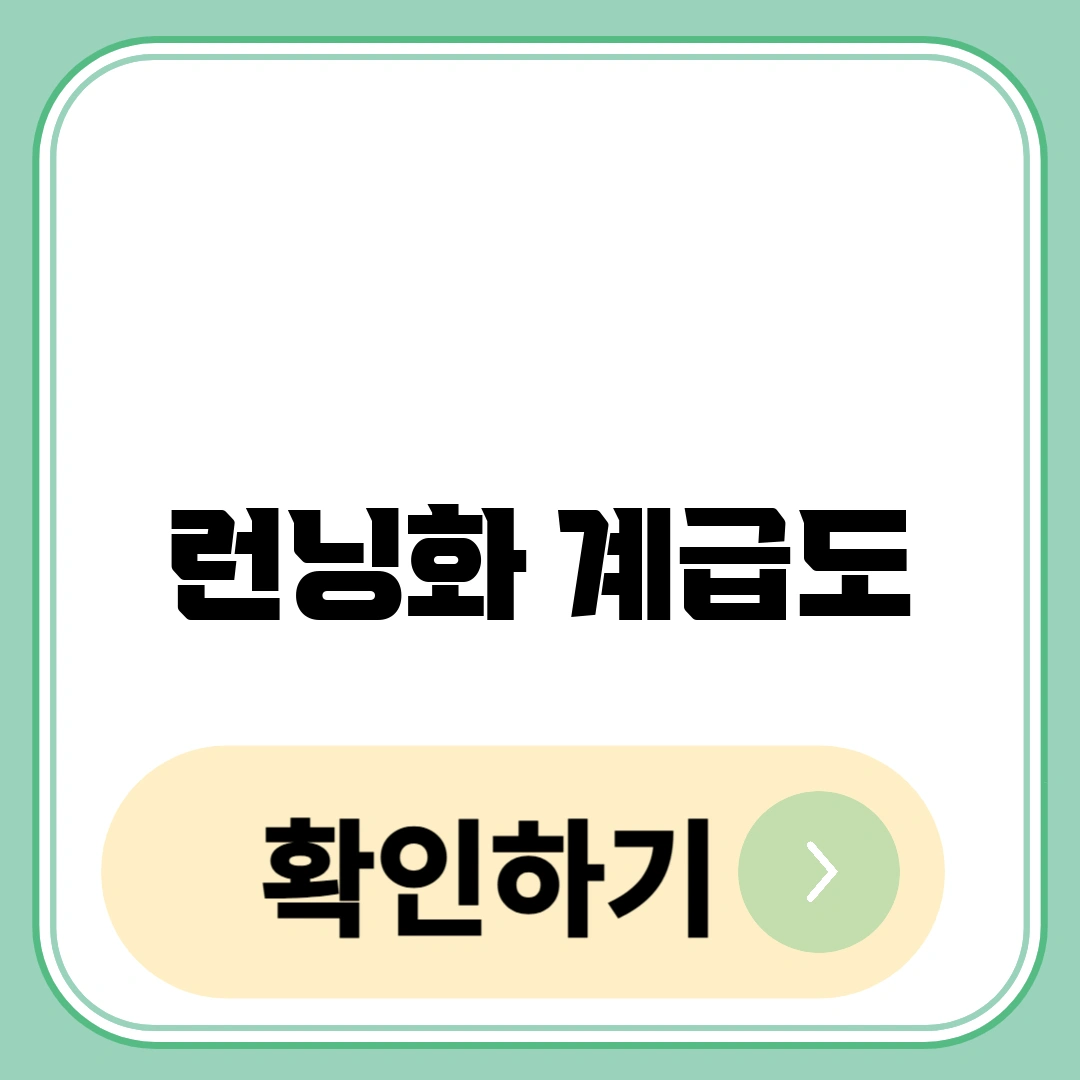 런닝화 계급도