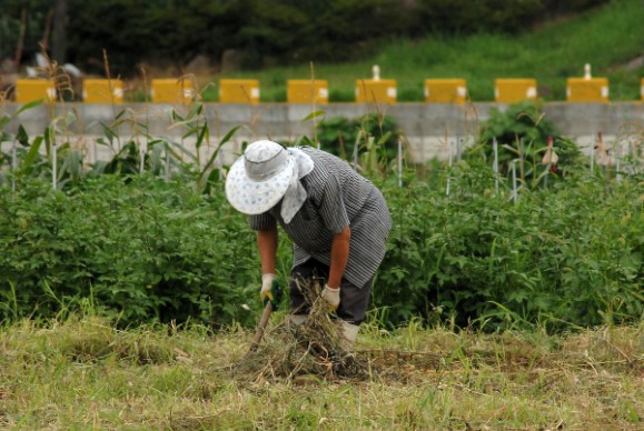 영농도우미 지원사업