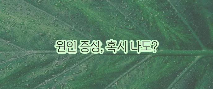 히스타민 증후군 원인과 증상 꼼꼼히 알아봅시다!