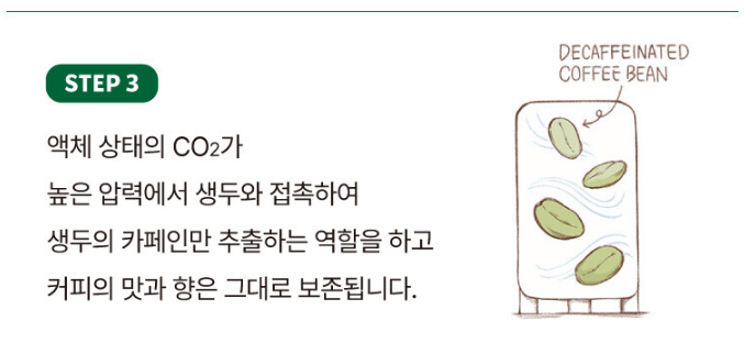 스타벅스 메뉴