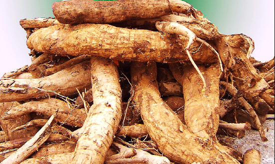 에스트로겐 풍부한 음식 TOP 7과 섭취 꿀팁