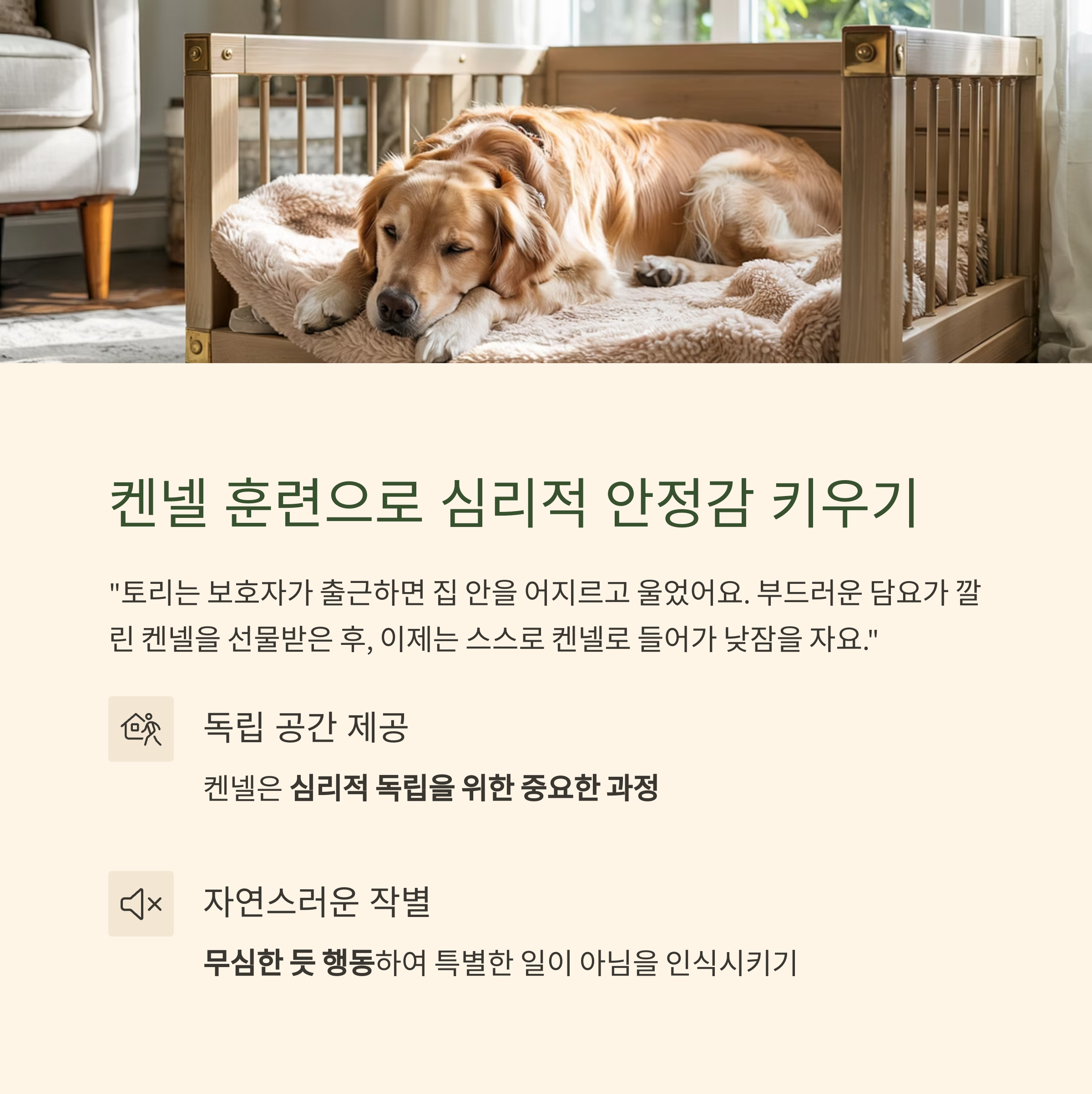 켄넬 훈련으로 심리적 안정감 키우기