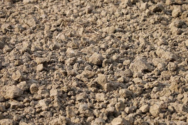 탄소중립 실천포인트 가입&middot;적립&middot;입금