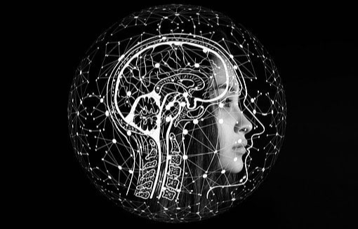 인간의 뇌는 예측 기계