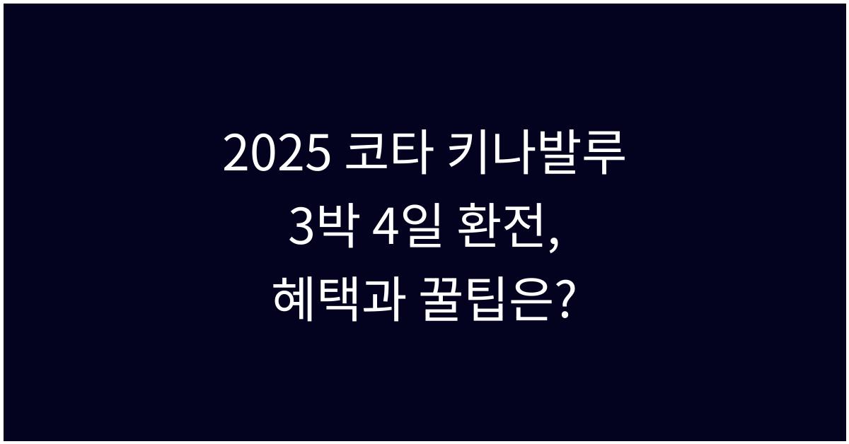 2025 코타 키나발루 3박 4일 환전