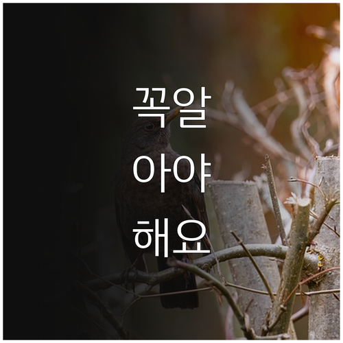 인천 청년 2025 학자금 이자 전액..