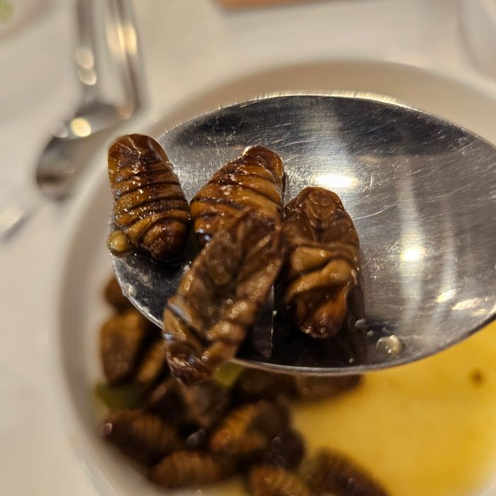 수저에-퍼진-번데기