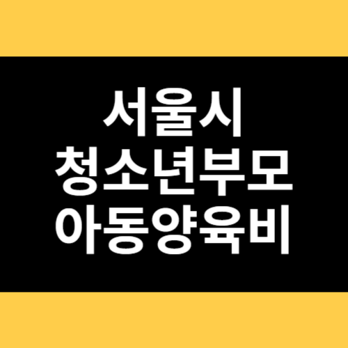 서울시 청소년부모 아동양육비 썸네일