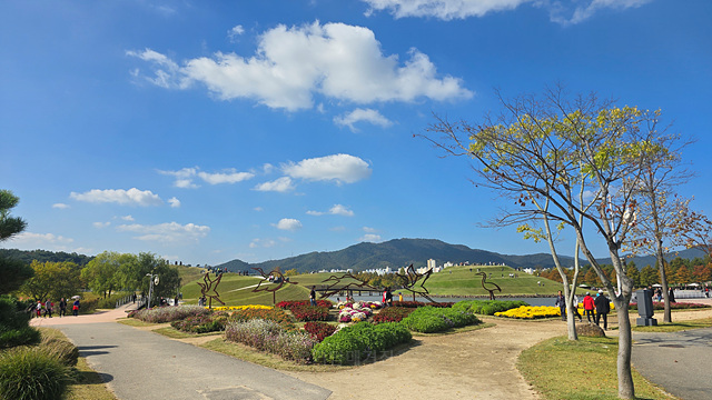 2025 순천만 국가정원 순천여행 맛집 현지인 추천 맛집 순천만 숙박