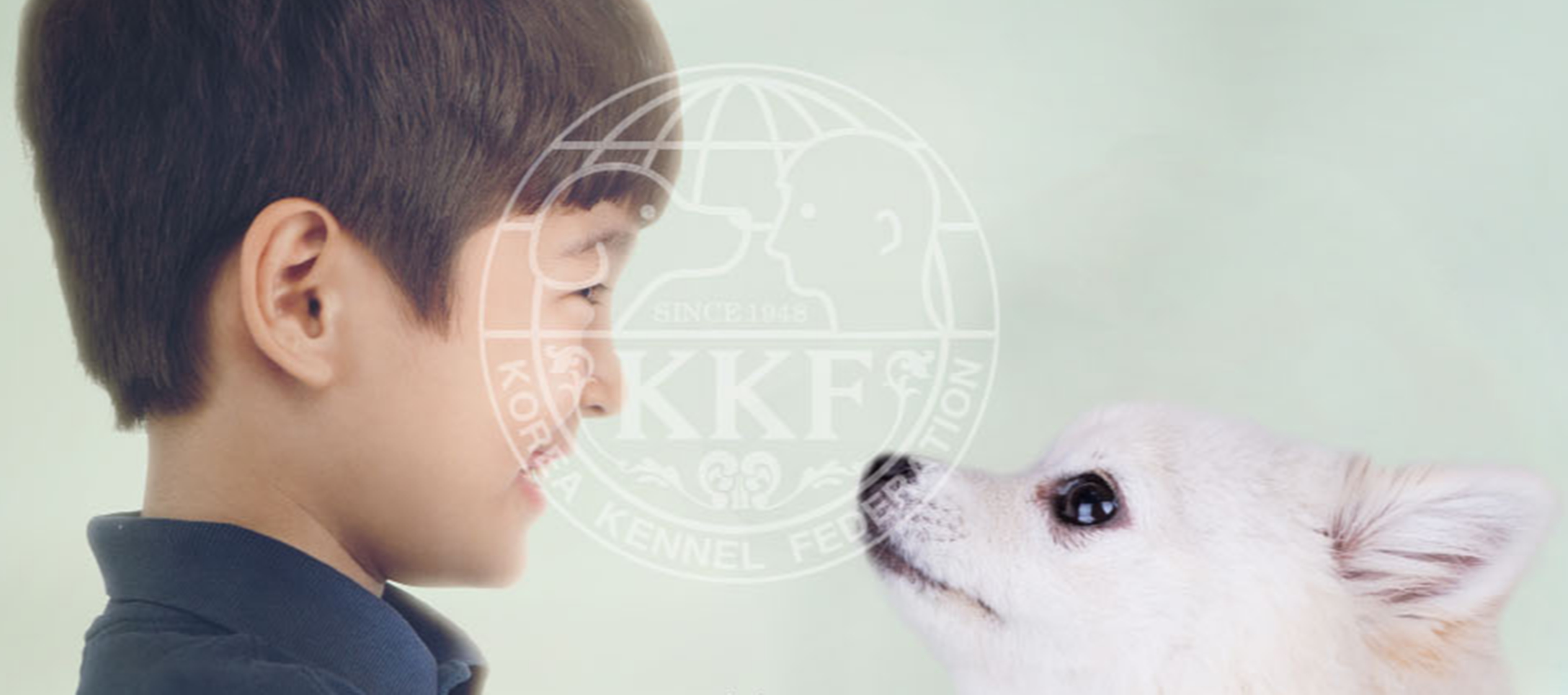 KKF자격증