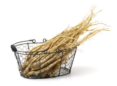 도라지 효능 효과 Best 10