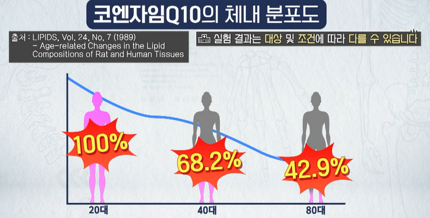 코엔자임q10