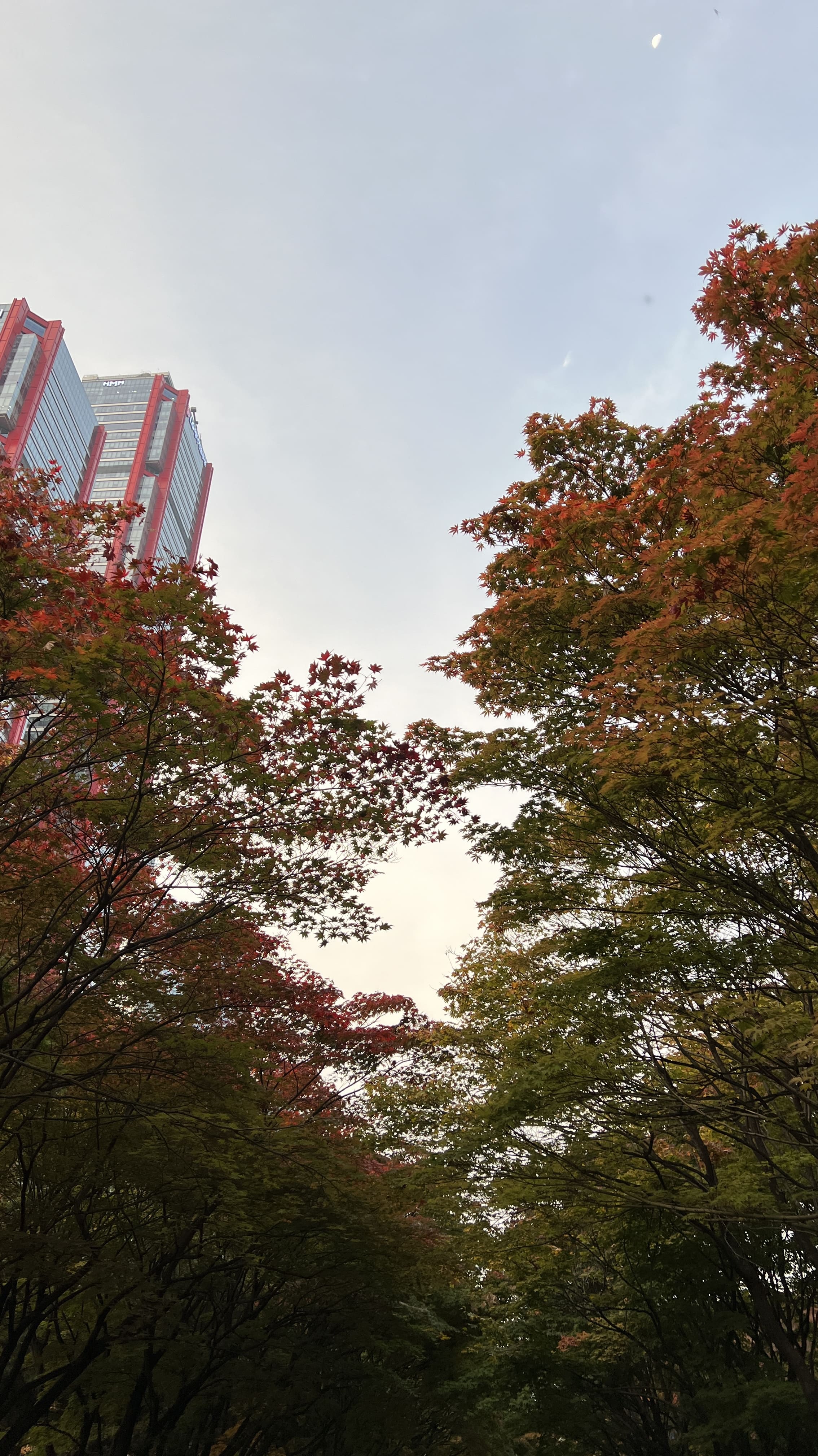 여의도 한강공원