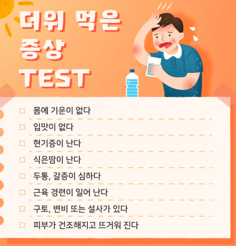 더위먹었을때 타이레놀 약 괜찮을까 온열질환 증상 대처 음식 병원 총정리2