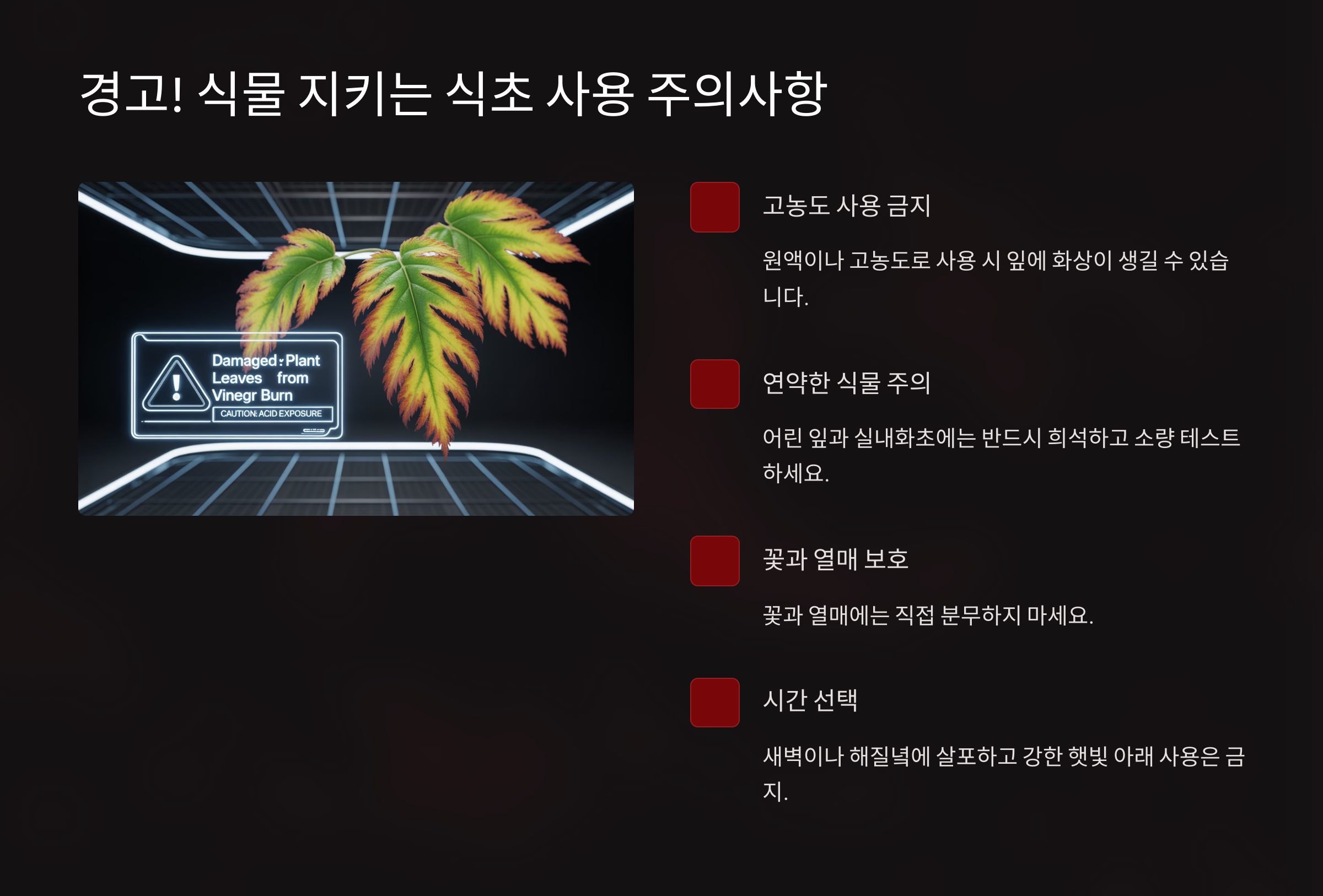 경고! 이것만은 절대 하지 마세요 (식물 지키는 주의사항)