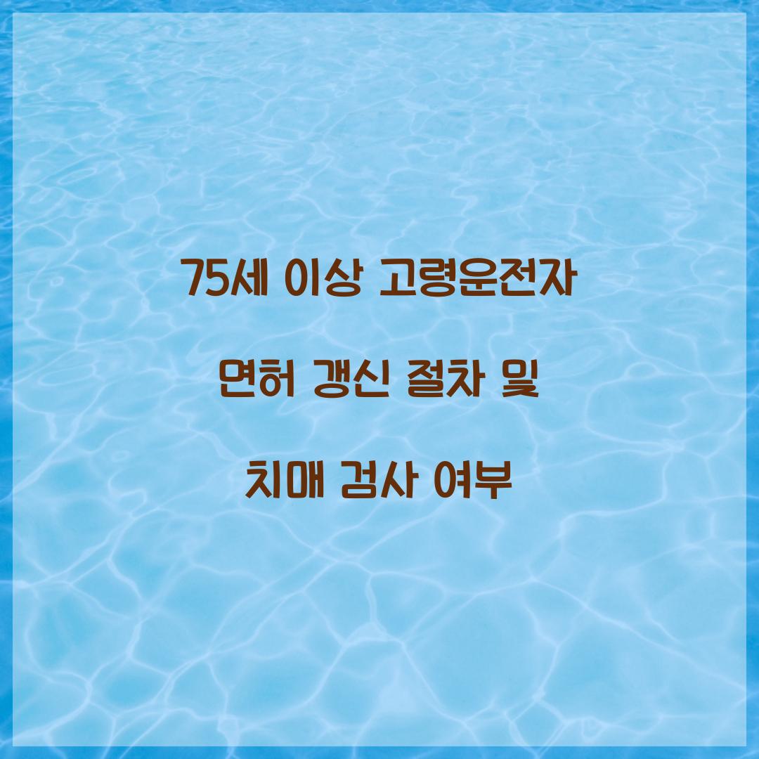 75세 이상 고령운전자