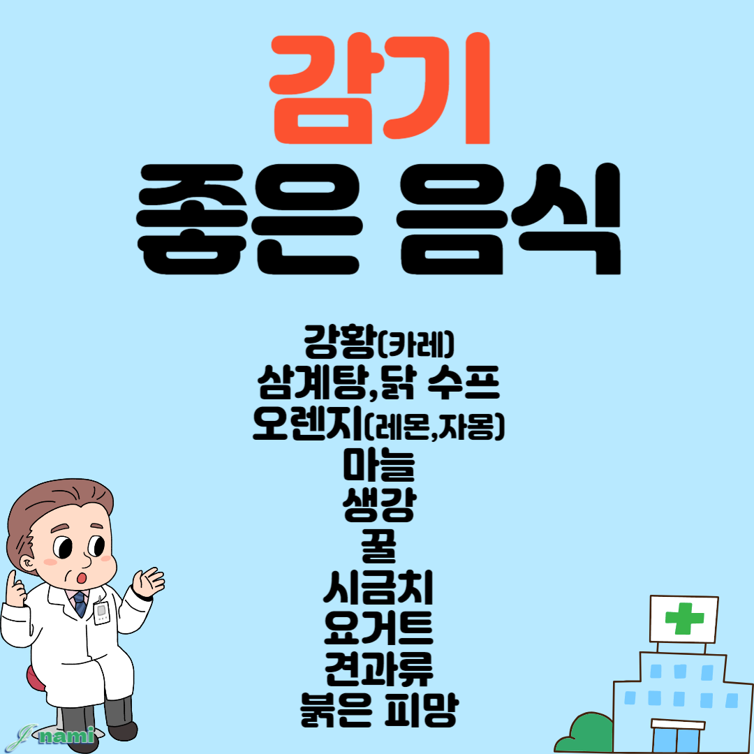 감기 음식 요약 정리