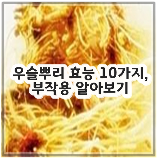 우슬뿌리 효능 10가지, 부작용 알아보기
