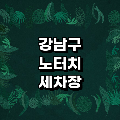 서울 강남구 노터치 세차