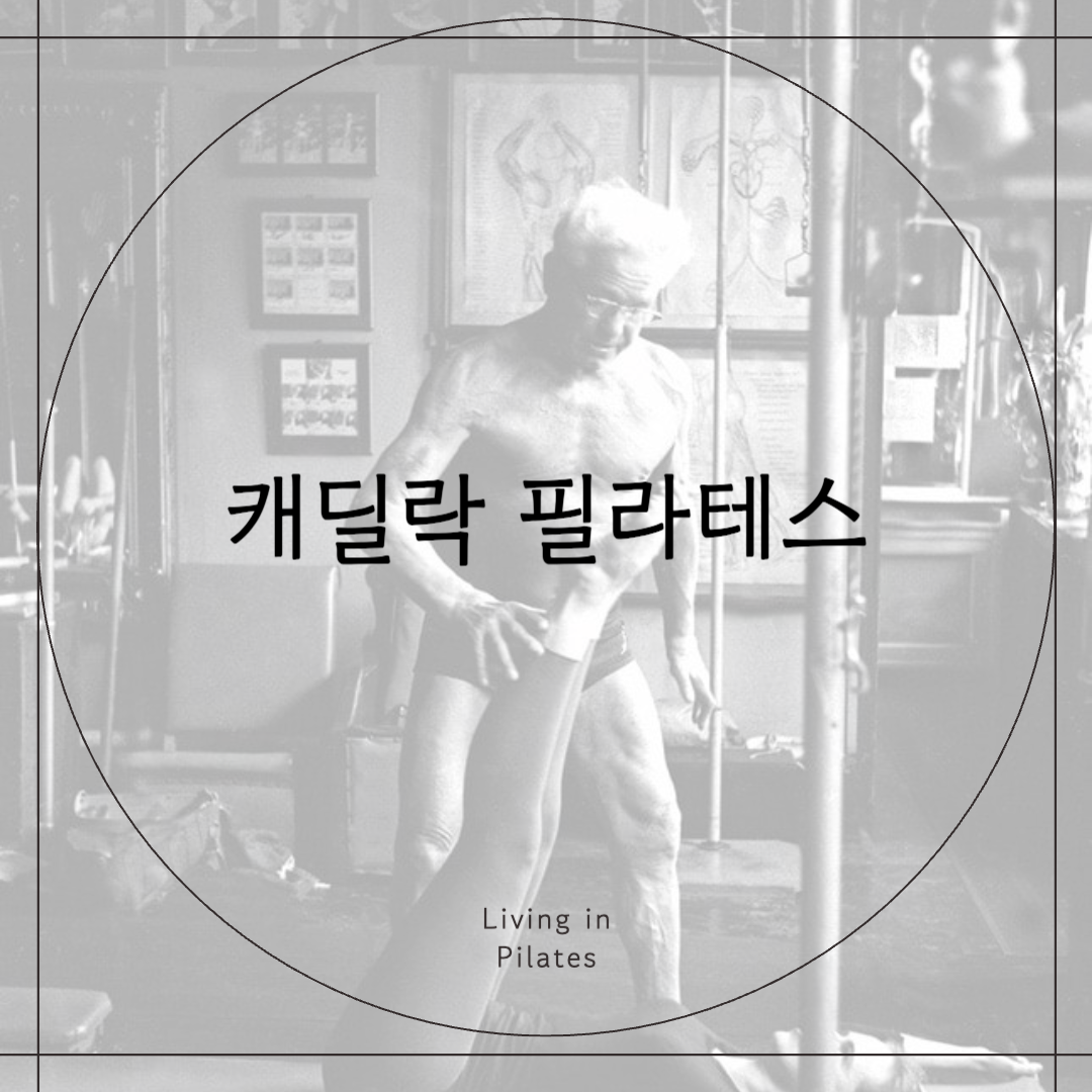 캐딜락 필라테스