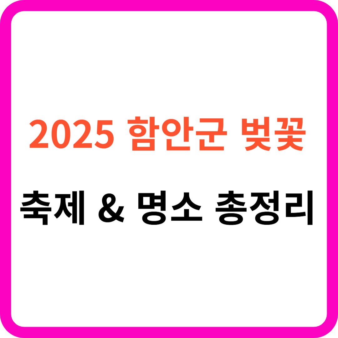 함안군 벚꽃 명소 &amp; 드라이브 코스 총정리