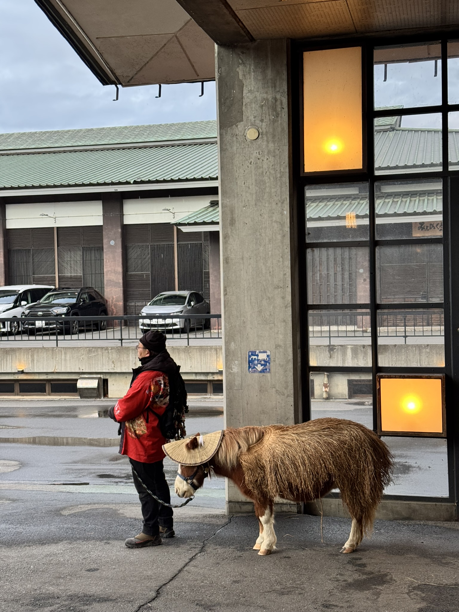 전통 복장의 직원과 포니