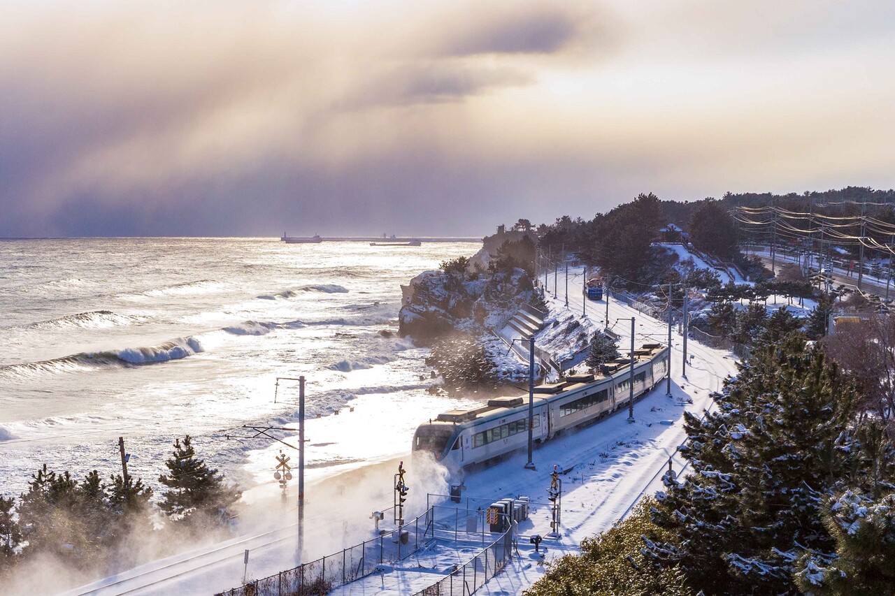 국내 겨울 철도여행 - 낭만과 풍경이 어우러진 겨울 여행