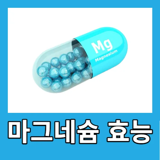 마그네슘 효능