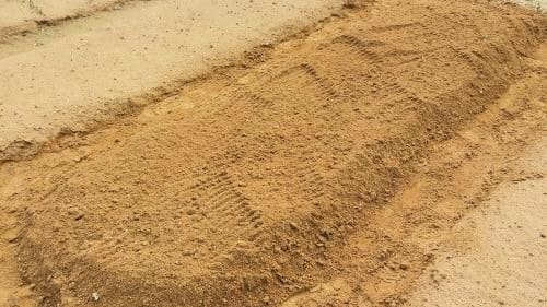 고들빼기-재배법-파종방법-심는방법