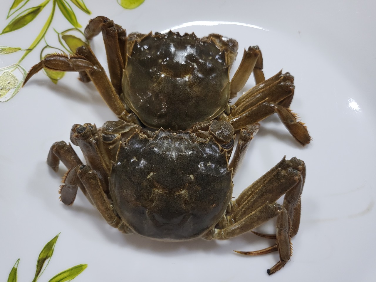 생방송투데이 한우물의 법칙 세종 메기매운탕 맛집 황우제매운탕