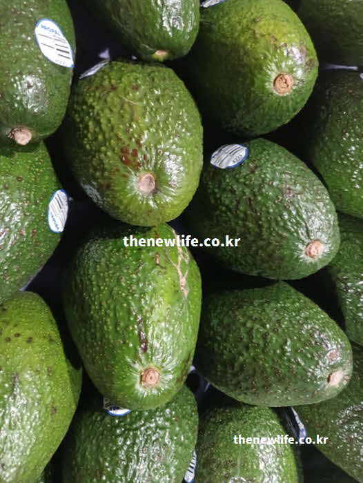 아보카도 효능 장 건강 식이섬유